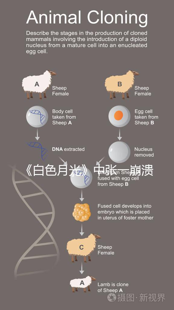 《白色月光》中張一崩潰在孩子面前哭，你認為該不該？