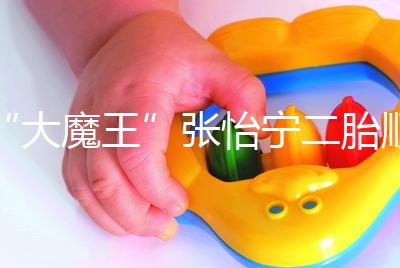 “大魔王”張怡寧二胎順利產(chǎn)子,生日宴攜一對兒女首亮相