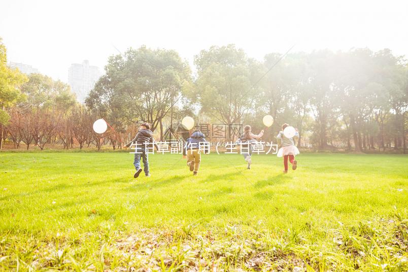 生甘草副作用（生甘草為何盡量少吃）