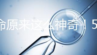 生命原來這么神奇！5個步驟詮釋胚胎培育的全過程