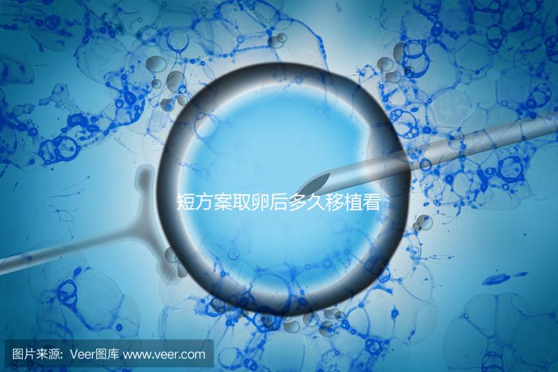 短方案取卵后多久移植看時機,關于試管你要知道一些事