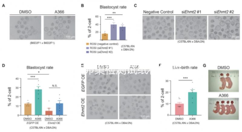 盤點卵巢檢測試紙和排卵試紙的區別，哪個更準確