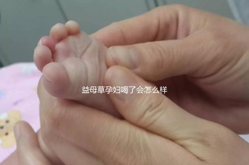 益母草孕婦喝了會怎么樣要早知，會不會流產、怎么辦這都有