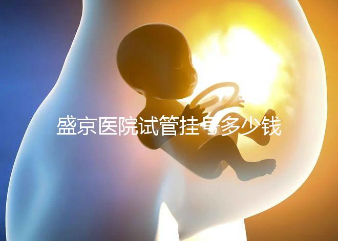 盛京醫(yī)院試管掛號(hào)多少錢(qián)、掛哪個(gè)科戳,附2024詳細(xì)流程