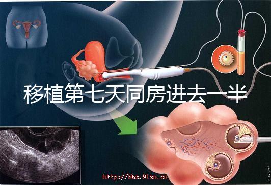 移植第七天同房進(jìn)去一半有無(wú)影響戳,沒(méi)出血問(wèn)題就不大