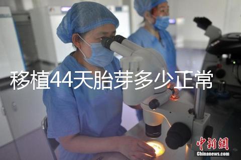 移植44天胎芽多少正常？胎芽長度和孕周對照表一覽