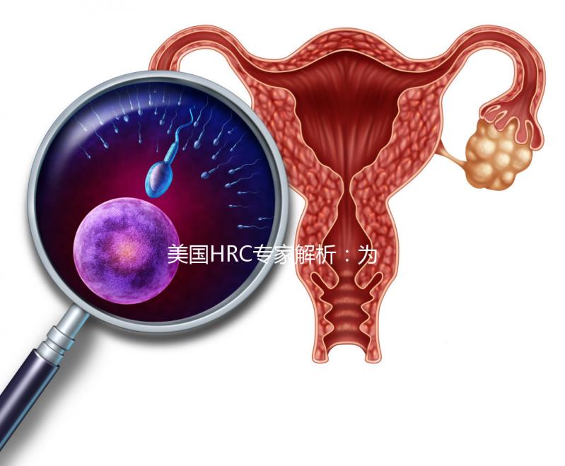 美國HRC專家解析：為何用第二代試管嬰兒技術結合精卵？–美國HRC