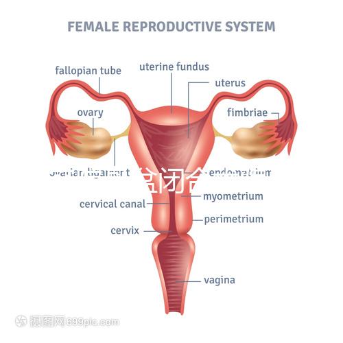 美容院骨盆閉合術(shù)騙局公開，不但沒用還會造成損傷要小心