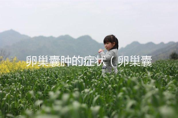 卵巢囊腫的癥狀(卵巢囊腫的癥狀表現有哪些癥狀)