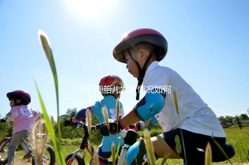 十五周胎兒發育情況如何?