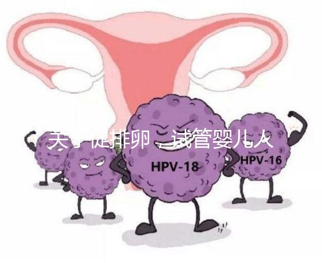 關(guān)于促排卵，試管嬰兒人群應(yīng)該知道的 6 個(gè)真相