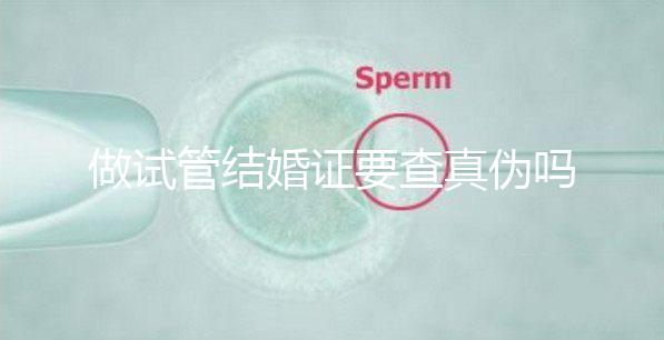 做試管結(jié)婚證要查真?zhèn)螁幔ㄗ鲈嚬芙Y(jié)婚證要查真?zhèn)螁岫嗌馘X(qián))