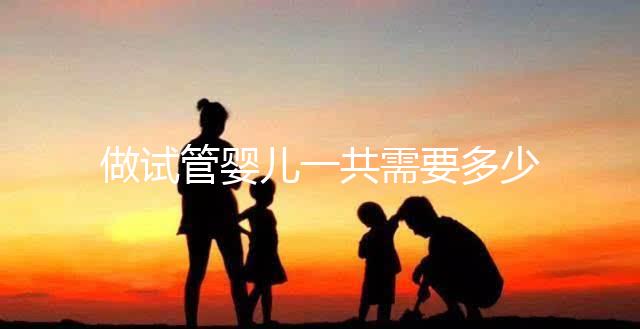 做試管嬰兒一共需要多少錢？