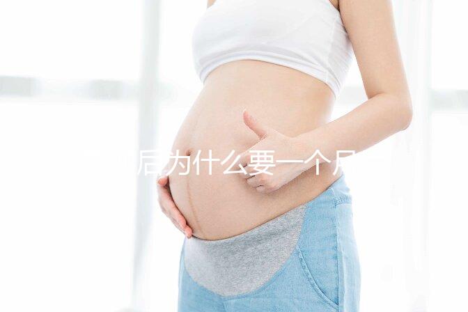 取卵后為什么要一個月后移植?深度解析與科學(xué)依據(jù)