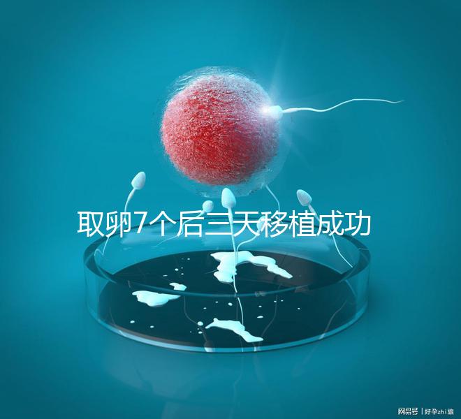 取卵7個后三天移植成功率真不低，關鍵要滿足這5大條件
