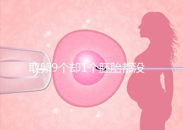 取卵9個卻1個胚胎都沒有，33歲準媽媽最后如何成功？