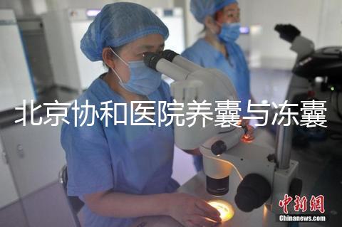 北京協(xié)和醫(yī)院養(yǎng)囊與凍囊費用參考，做好這4點成功率上漲