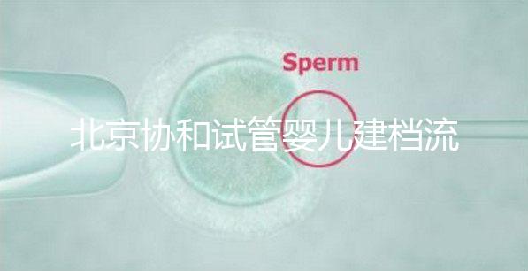 北京協(xié)和試管嬰兒建檔流程介紹,到院后掛號必不可少