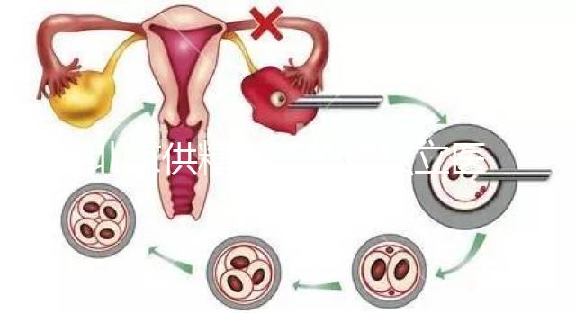 北京供精人工授精私立醫院排名表來了！哪個好看就知道了？