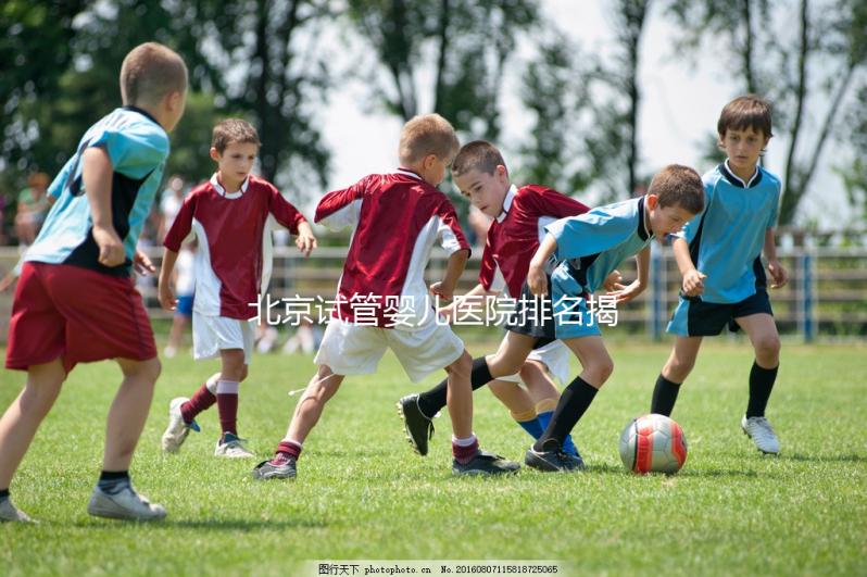 北京試管嬰兒醫院排名揭曉：價格合理，流程詳解