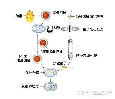 北京 腎病（北京腎病醫(yī)院排名第一）