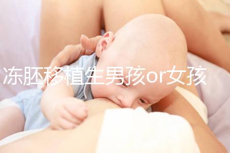凍胚移植生男孩or女孩機率真不同，哪個大請看數(shù)據(jù)說話