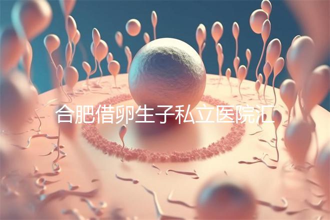 合肥借卵生子私立醫院匯總，2024哪家排名好一覽了然