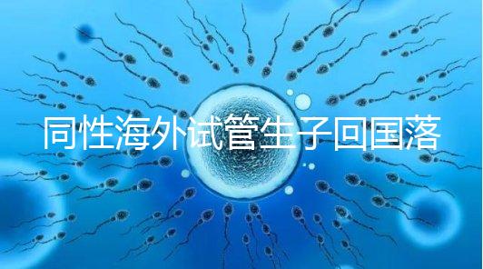 同性海外試管生子回國落戶講方法，男同上戶過程更復雜