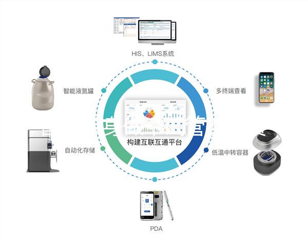 國內單身做個試管嬰兒費用大概要多少？
