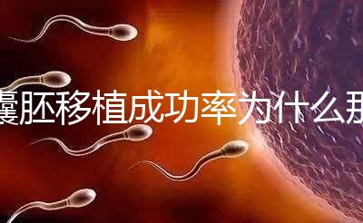 囊胚移植成功率為什么那么高？一期給你講明白！