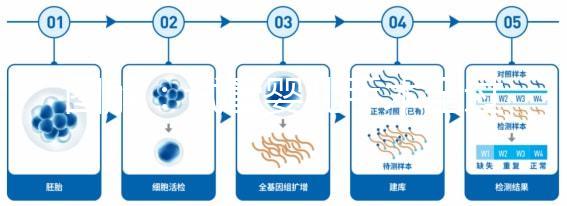 圖解：試管嬰兒手術(shù)全過程