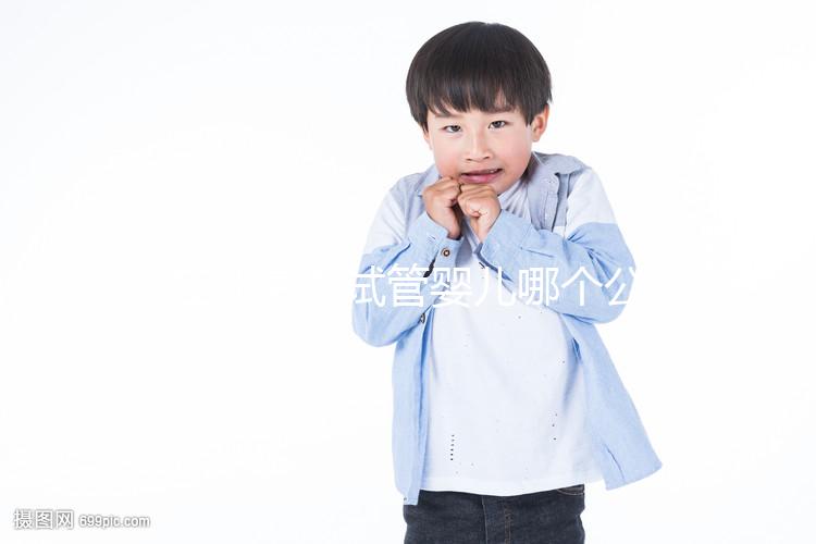 在北京做試管嬰兒哪個(gè)公立醫(yī)院好?揭秘北京十大知名試管名單