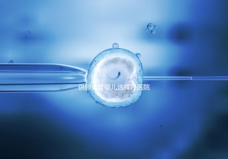 供卵試管嬰兒選擇好醫(yī)院是關(guān)鍵，泰國好的生殖中心有這些