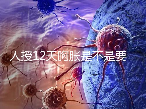 人授12天胸脹是不是要來例假了難說，脹痛嚴(yán)重請(qǐng)驗(yàn)孕