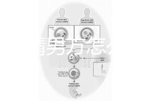 人工授精男方怎么取精?2種取精過程分別適合不同人群