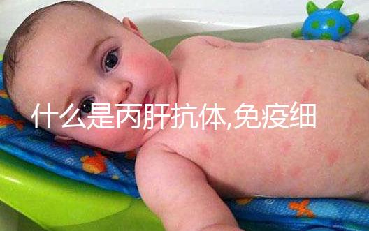 什么是丙肝抗體,免疫細胞生產,介紹了解不針對病毒本身