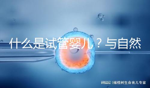 什么是試管嬰兒？與自然懷孕的小孩有區(qū)別嗎？一文告訴你！