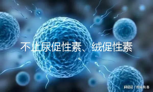 不止尿促性素、絨促性素！試管嬰兒促排卵針還有這些牌子