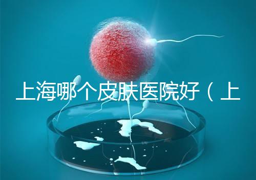 上海哪個(gè)皮膚醫(yī)院好(上海中醫(yī)皮膚科哪家好)