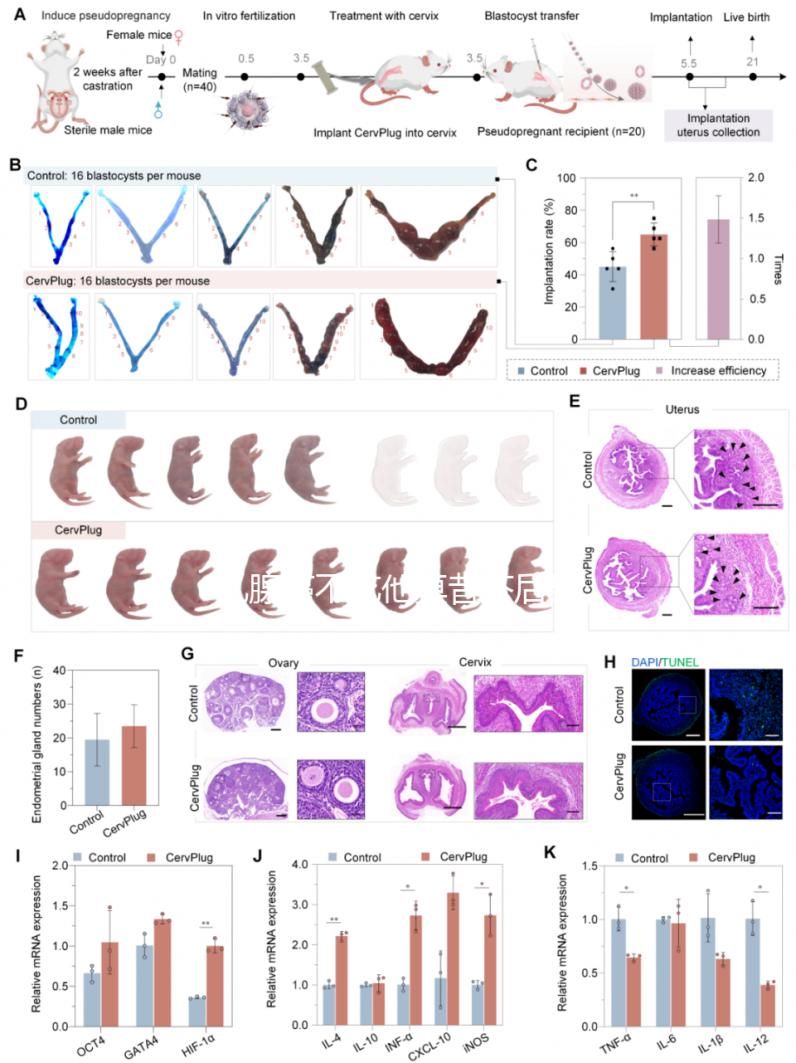 乳腺癌不吃他莫昔芬后果很嚴(yán)重，復(fù)發(fā)僅為其一