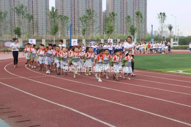 想知道當(dāng)歸是否能促進卵泡發(fā)育，加入棗也能補充內(nèi)膜