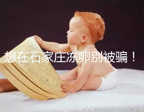 想在石家莊凍卵別被騙！單身未婚女性首選泰國和美國