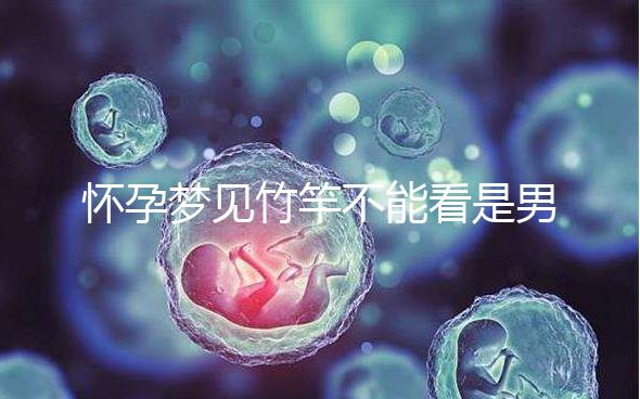 懷孕夢(mèng)見(jiàn)竹竿不能看是男孩or女孩,解讀胎夢(mèng)預(yù)兆別太主觀