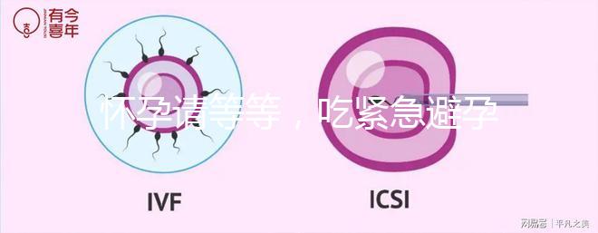 懷孕請(qǐng)等等,吃緊急避孕藥多久能有性生活看專家怎么說