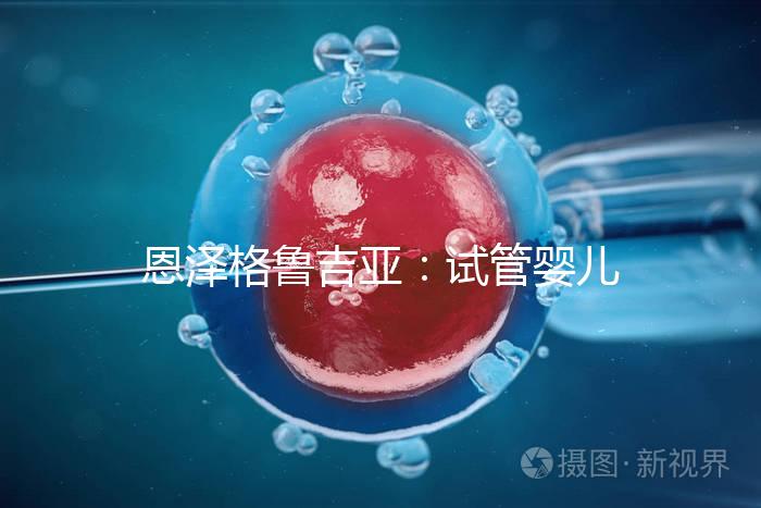 恩澤格魯吉亞：試管嬰兒助孕囊胚移植后，著床時間全解析