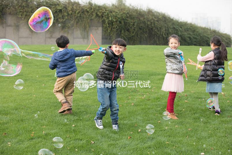 揭露多囊腎PKD三代試管取17個卵異常怎么辦？