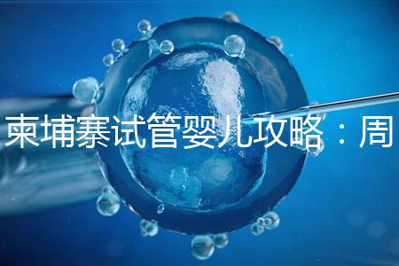 柬埔寨試管嬰兒攻略：周期和時間規劃全解析！