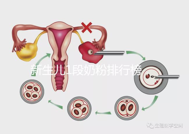 新生兒1段奶粉排行榜，口碑好、價(jià)格實(shí)惠的品牌紛紛上榜