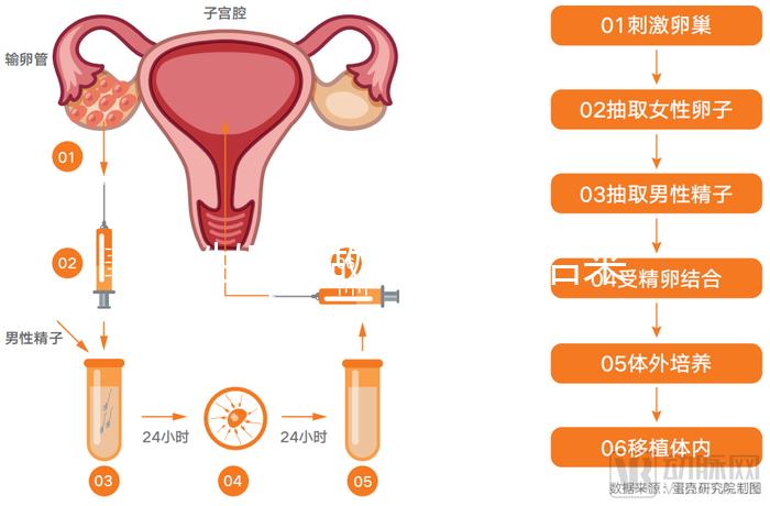 無性婚姻做試管嬰兒后來怎么樣？三個大案例揭開了內幕