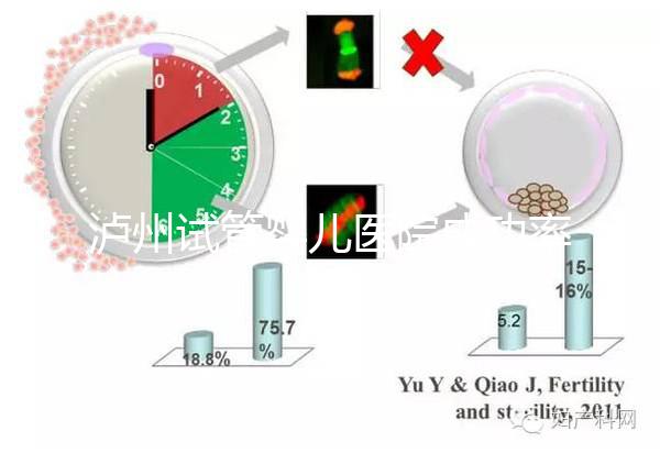 瀘州試管嬰兒醫院成功率排名,西南醫科大學附屬醫院上榜